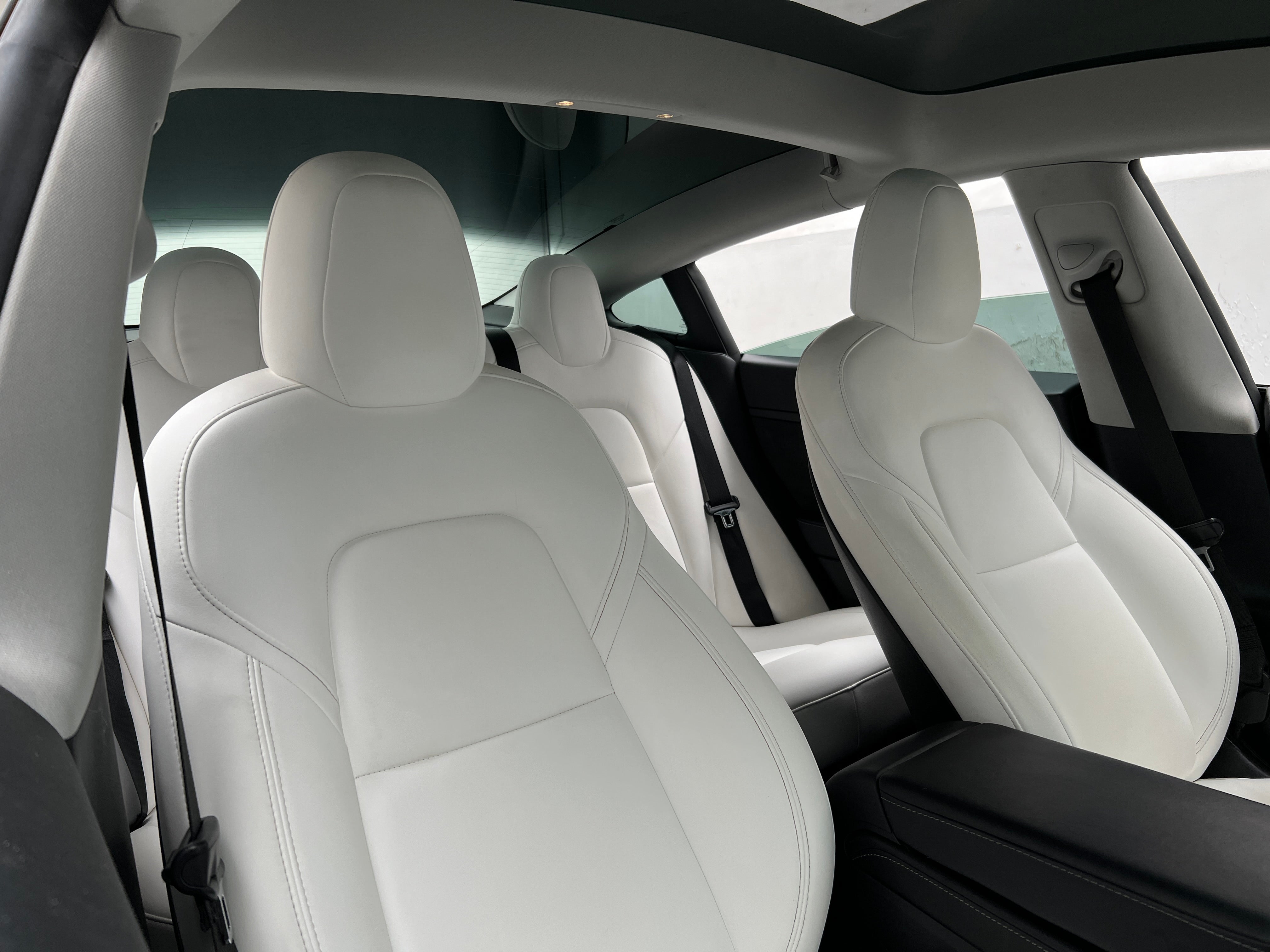 tesla model 3 2021 5YJ3E1EA1MF978455 image tesla model 3 2021 5YJ3E1EA1MF978455 image
